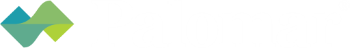 Palomar Insurance Logo